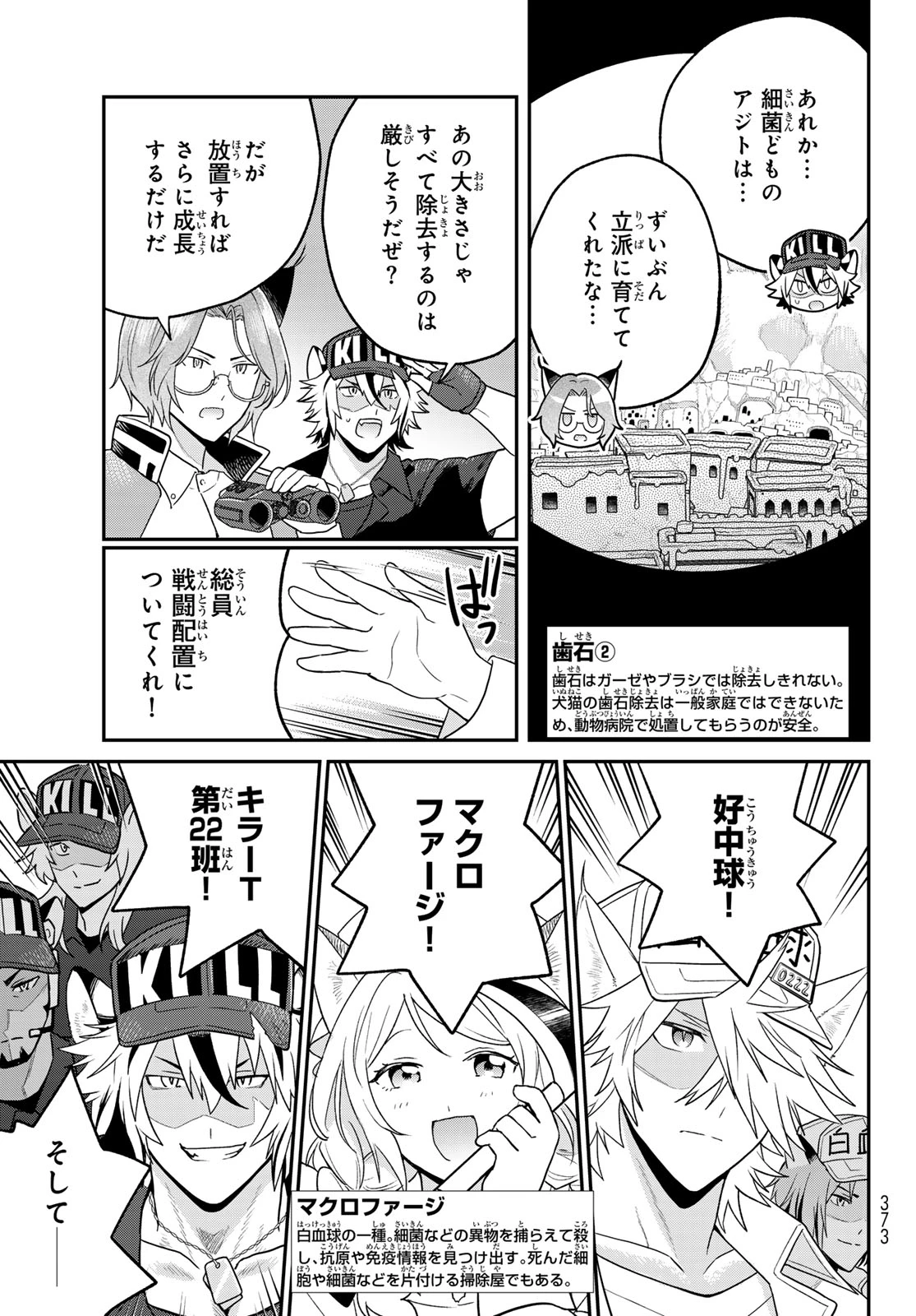 はたらく細胞猫 第13話 - 11