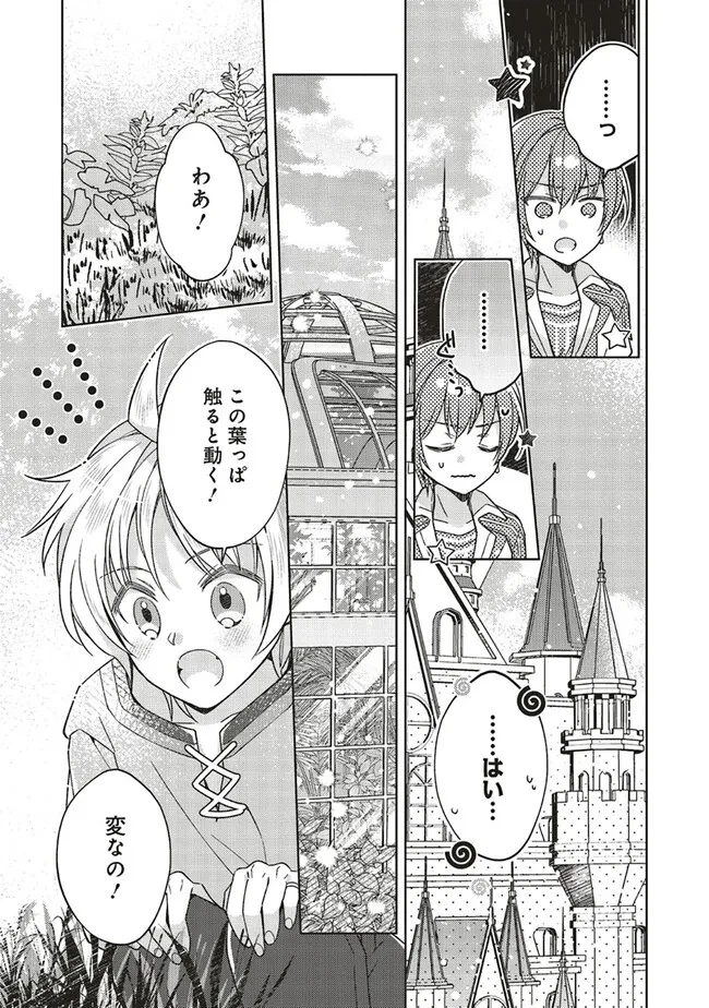 Fairy Pharmacy Youseijirushi no Kusuriya-san 妖精印の薬屋さん 第29話 - 5