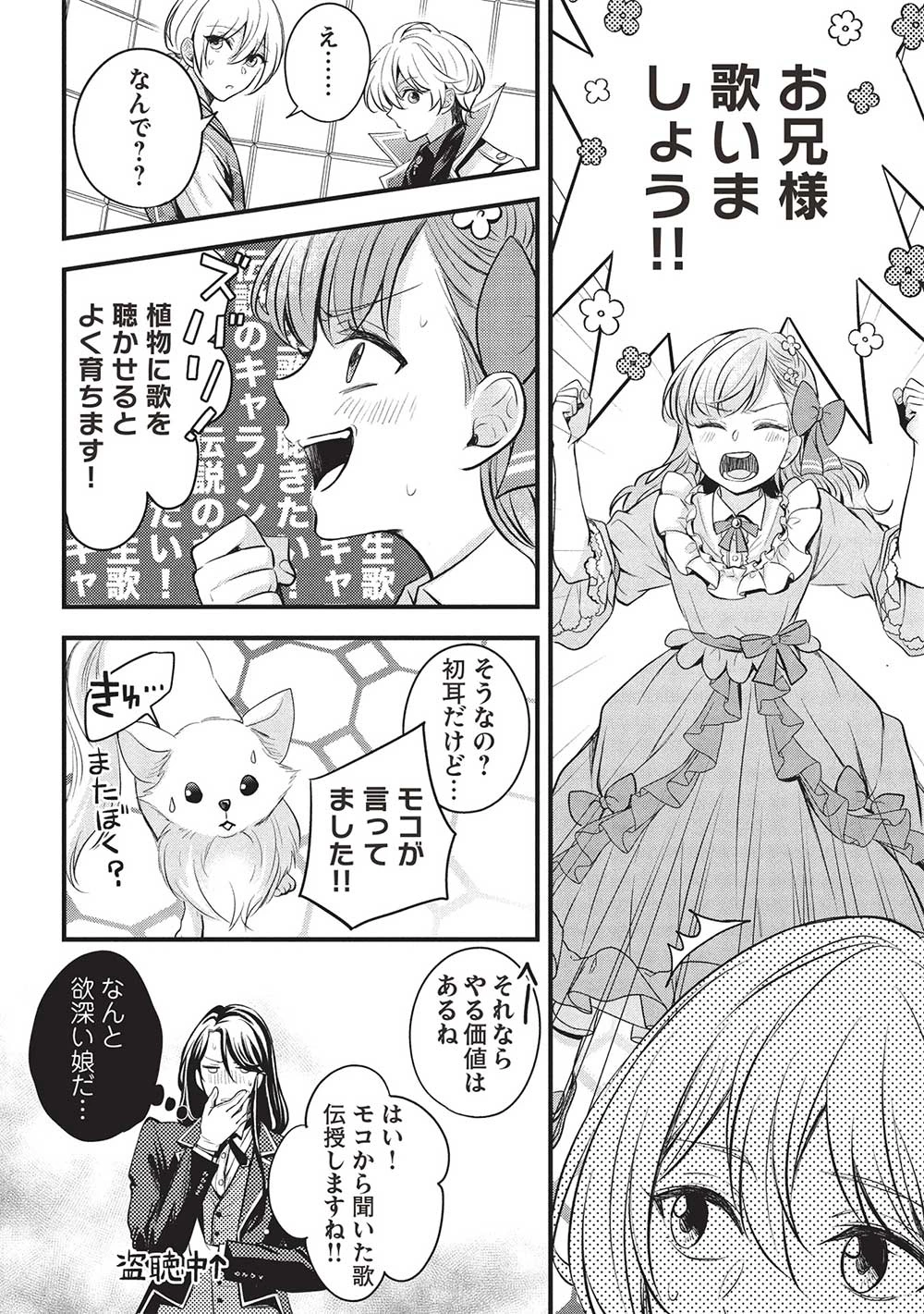 グランアヴェール～お守りの魔導師はラスボスお兄様を救いたい～ 第18話 - 12