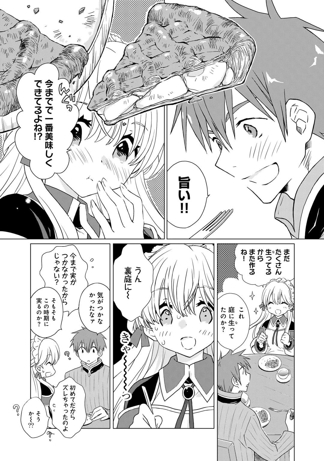 チートで家庭菜園～多分私が精霊姫だけど、他に名乗り出た者がいるので、家庭菜園しちゃいます～ 第3話 - 3