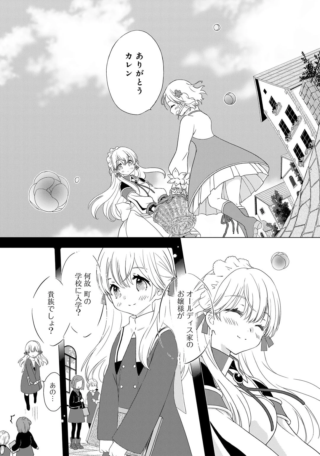 チートで家庭菜園～多分私が精霊姫だけど、他に名乗り出た者がいるので、家庭菜園しちゃいます～ 第3話 - 13