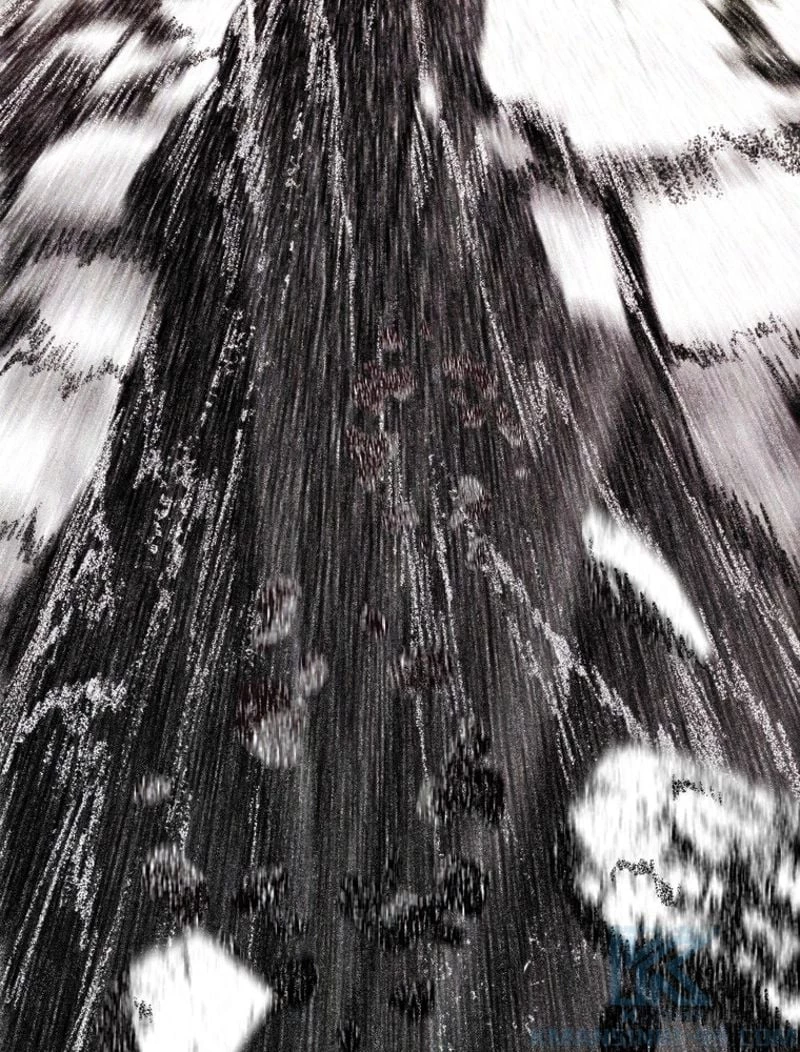 異世界剣王生存記 第98話 - 47