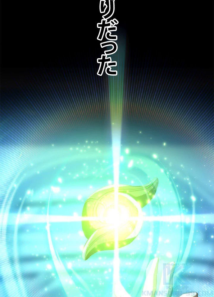 回帰して世界を変える大魔法使い 第19話 - 65