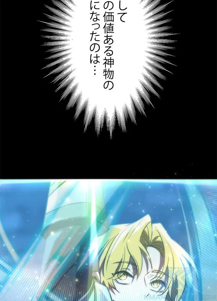 回帰して世界を変える大魔法使い 第19話 - 68