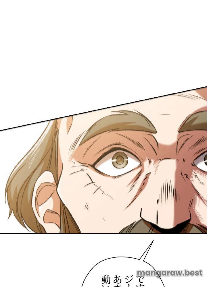 回帰して世界を変える大魔法使い 第66話 - 51