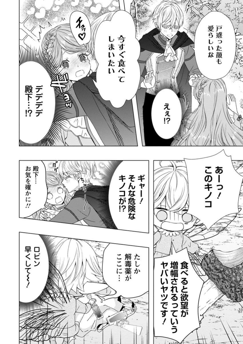 シンデレラの姉ですが、不本意ながら王子と結婚することになりました～身代わり王太子妃は離宮でスローライフを満喫する～ 第17.1話 - 2