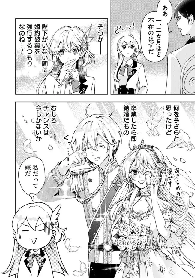 したたか令嬢は溺愛される 〜論破しますが、こんな私でも良いですか?〜 第3.1話 - 12