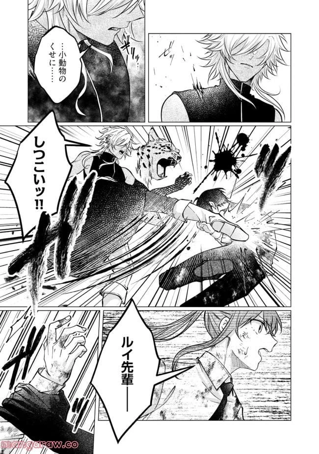 ゴリラの神から加護された令嬢は王立騎士団で可愛がられる 第17.4話 - 6