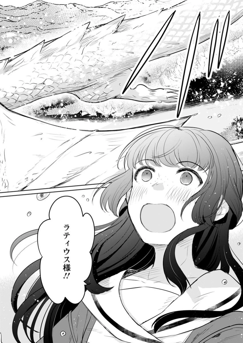 聖女じゃないと追放されたので、もふもふ従者(聖獣)とおにぎりを握る 第35.3話 - 7