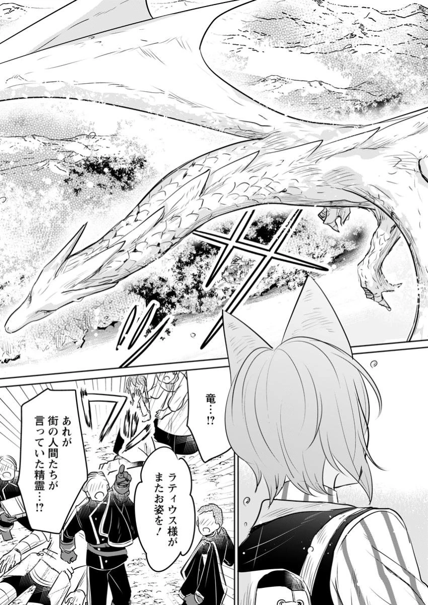 聖女じゃないと追放されたので、もふもふ従者(聖獣)とおにぎりを握る 第35.3話 - 8