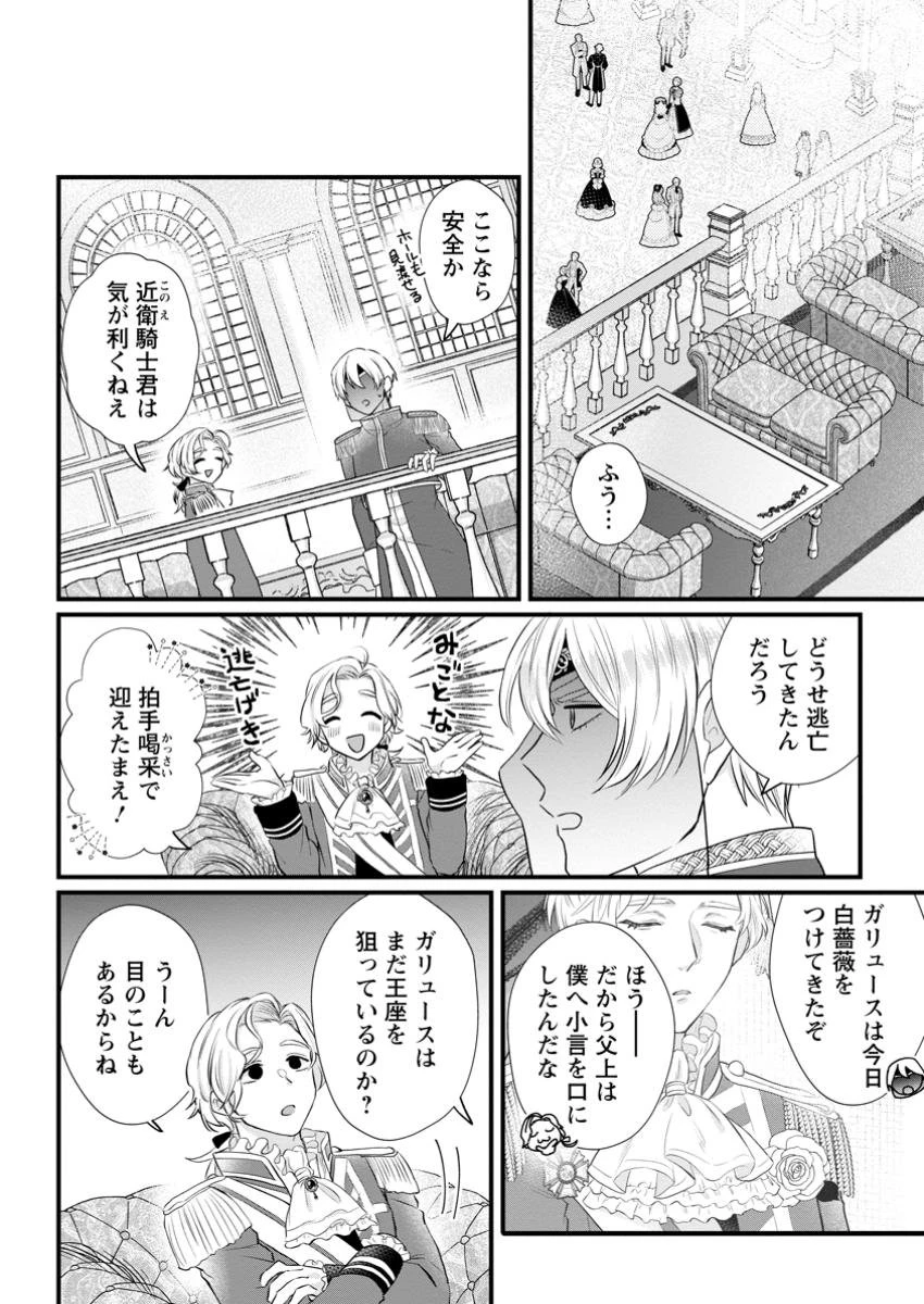 家族に役立たずと言われ続けたわたしが、魔性の公爵騎士様の最愛になるまで 第19.3話 - 6