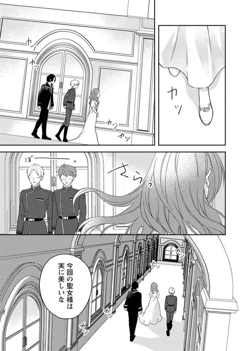 ヴェールの聖女 ヴェールの聖女 ～醜いと誤解された聖女、イケメン護衛騎士に溺愛される～ 第1.2話 - 7