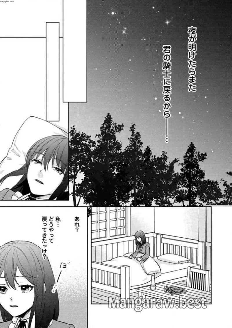 ヴェールの聖女 ヴェールの聖女 ～醜いと誤解された聖女、イケメン護衛騎士に溺愛される～ 第11.3話 - 2