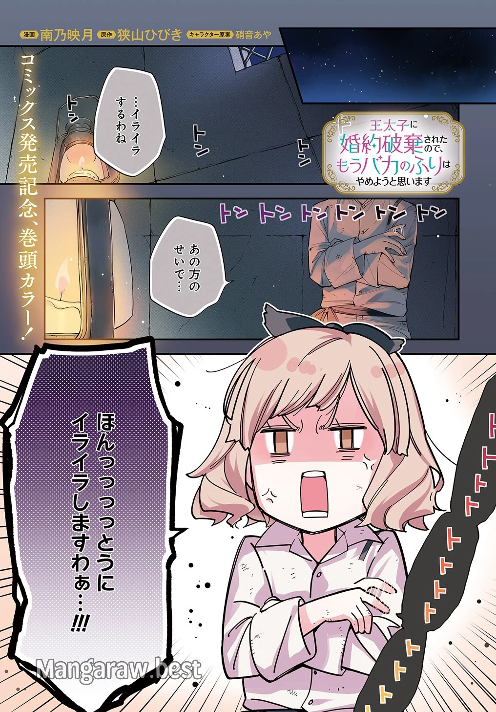 王太子に婚約破棄されたので、もうバカのふりはやめようと思います 第26話 - 1