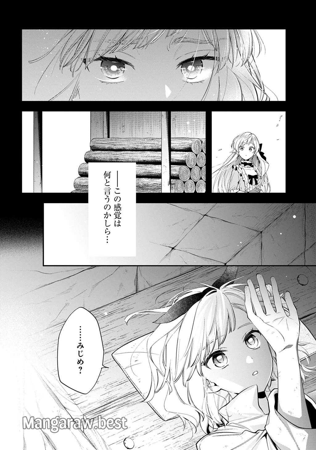 王太子に婚約破棄されたので、もうバカのふりはやめようと思います 第26話 - 8