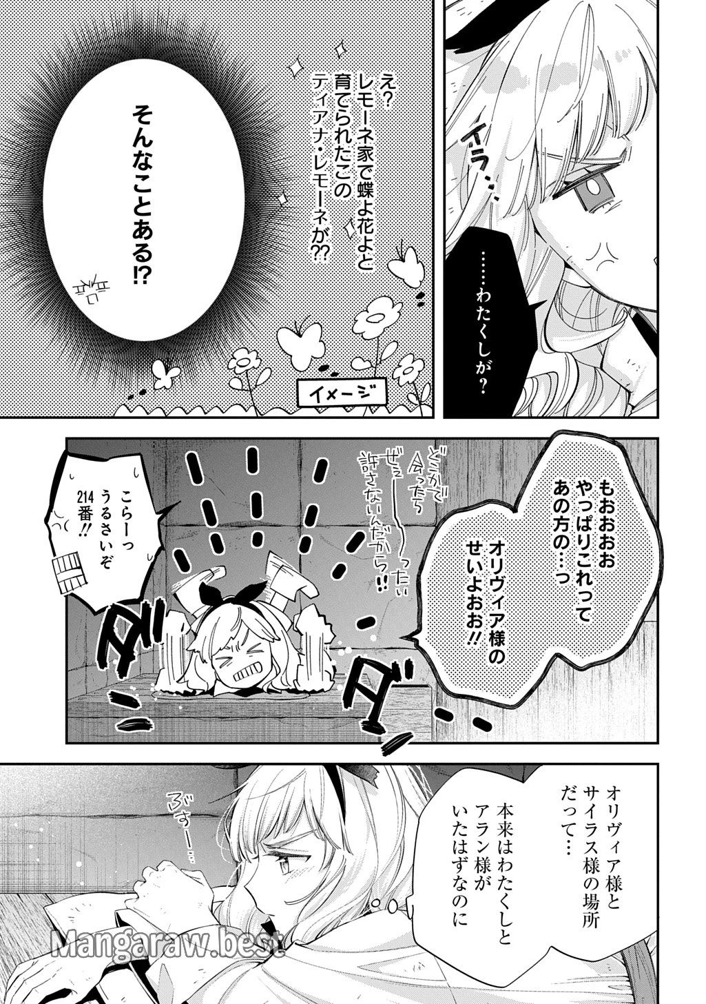 王太子に婚約破棄されたので、もうバカのふりはやめようと思います 第26話 - 9