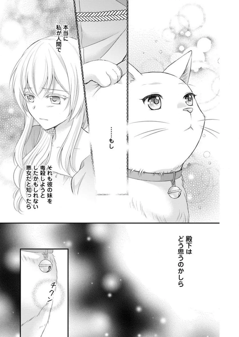 呪いで猫にされた悪女、王太子に拾われる。 第4.3話 - 7