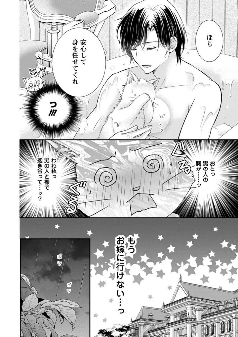 呪いで猫にされた悪女、王太子に拾われる。 第5.2話 - 9