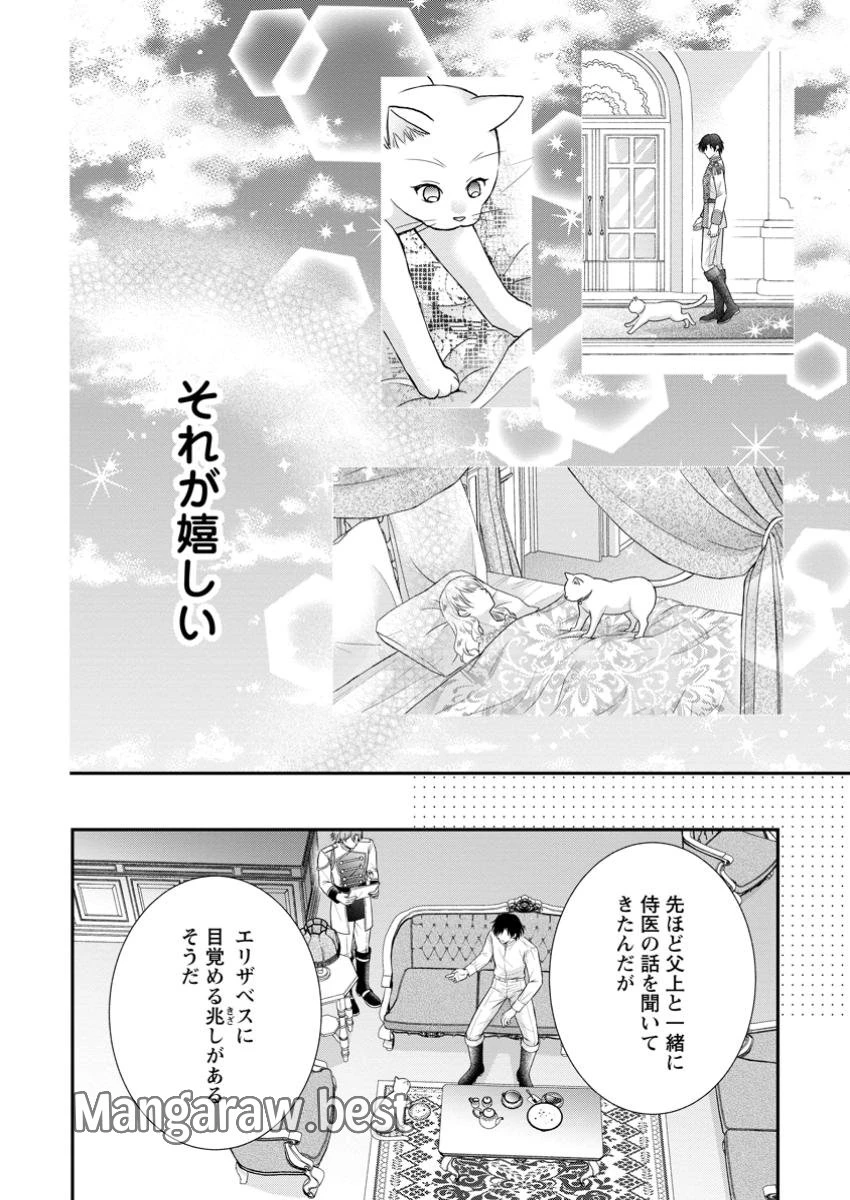 呪いで猫にされた悪女、王太子に拾われる。 第7.2話 - 1