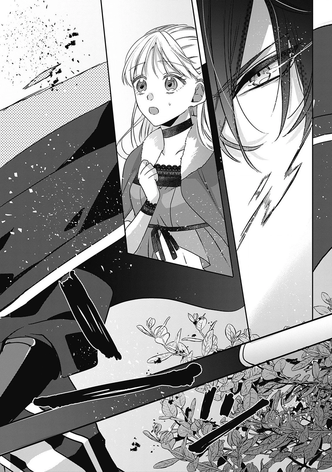 籠のなかの竜聖女 -虐げられた伯爵令嬢は、今日も溺愛されています- 第4.2話 - 8