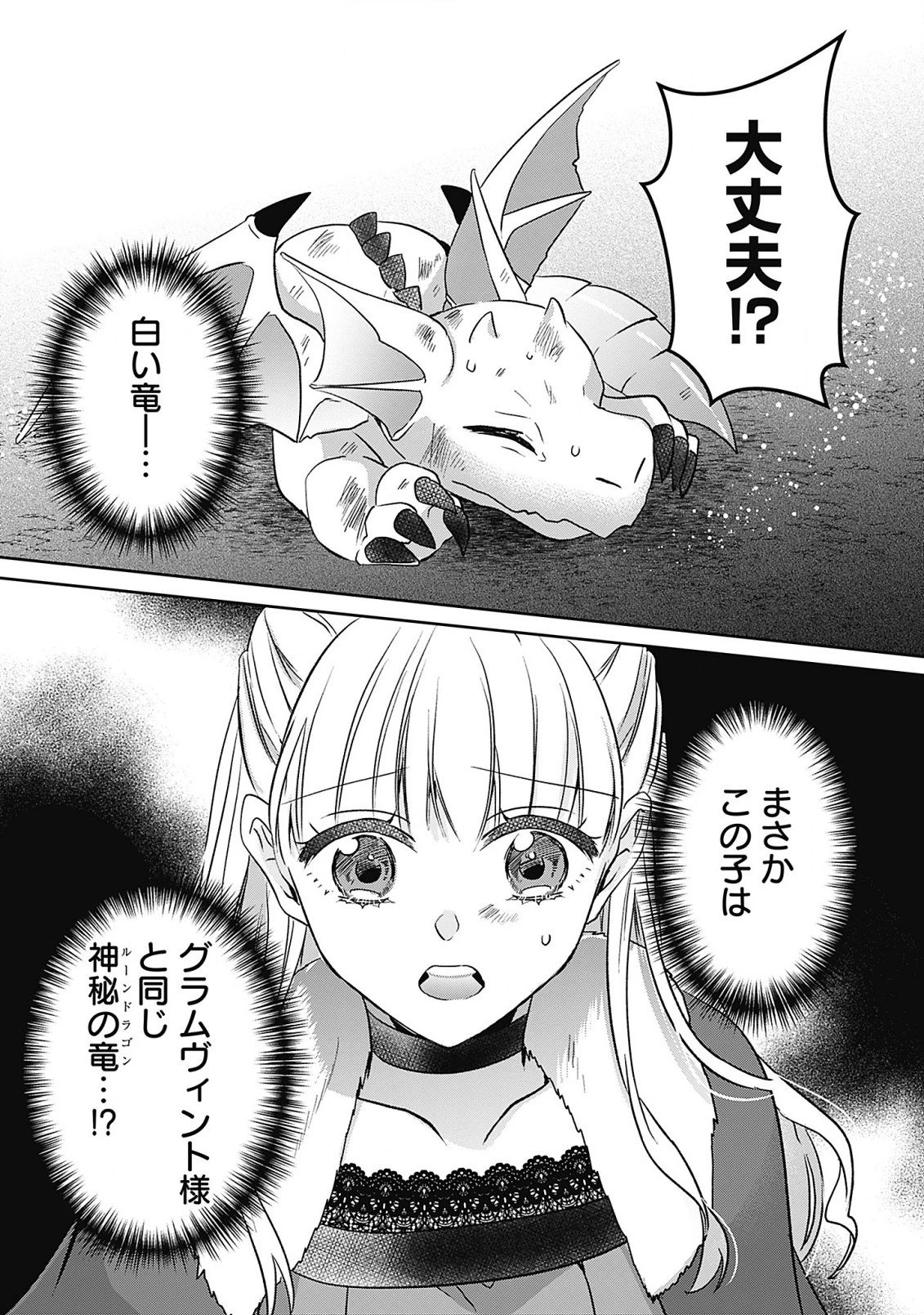 籠のなかの竜聖女 -虐げられた伯爵令嬢は、今日も溺愛されています- 第4.2話 - 13