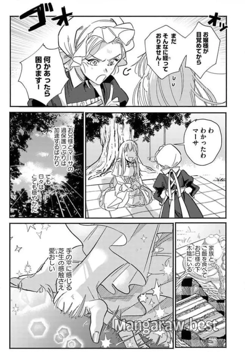 三人のライル令嬢のうち“ハズレ令嬢”に転生したようです。～前世は病弱でしたが、癒しの魔法で今度は私が助けます！～ 第2.1話 - 5