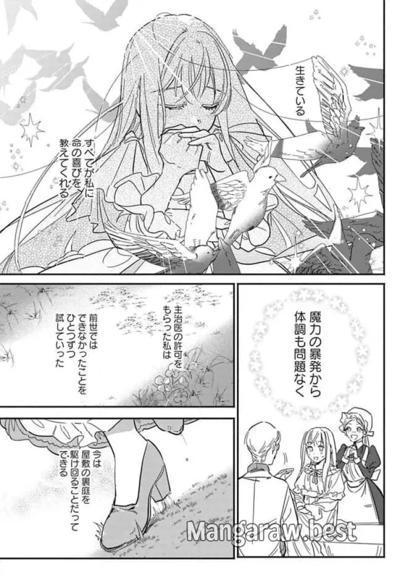 三人のライル令嬢のうち“ハズレ令嬢”に転生したようです。～前世は病弱でしたが、癒しの魔法で今度は私が助けます！～ 第2.1話 - 6