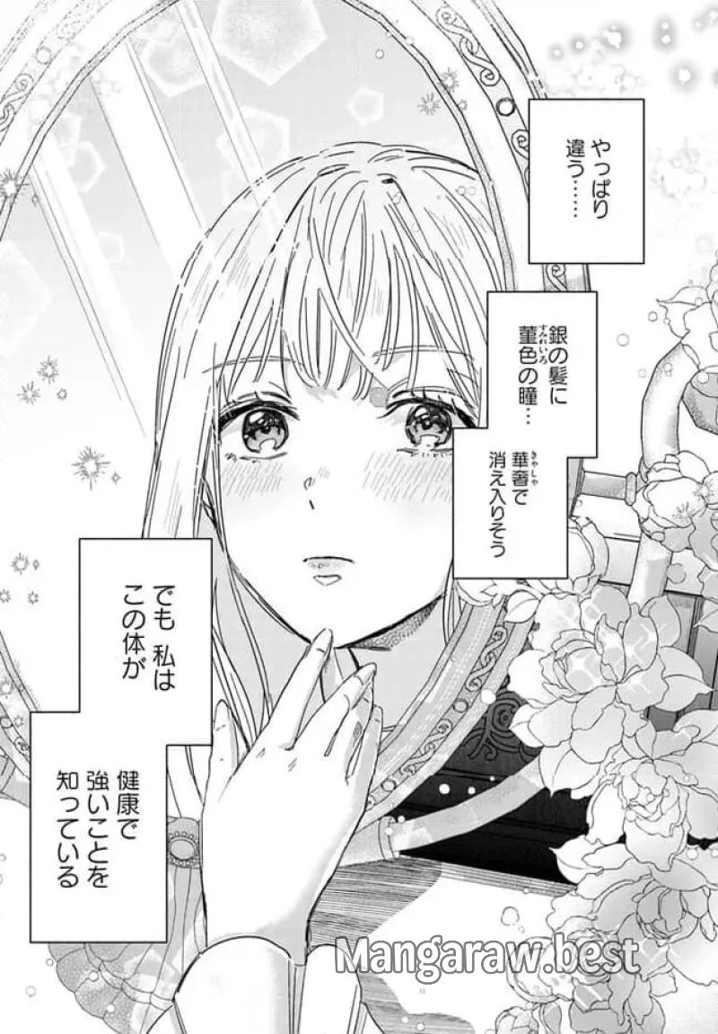 三人のライル令嬢のうち“ハズレ令嬢”に転生したようです。～前世は病弱でしたが、癒しの魔法で今度は私が助けます！～ 第1.2話 - 12