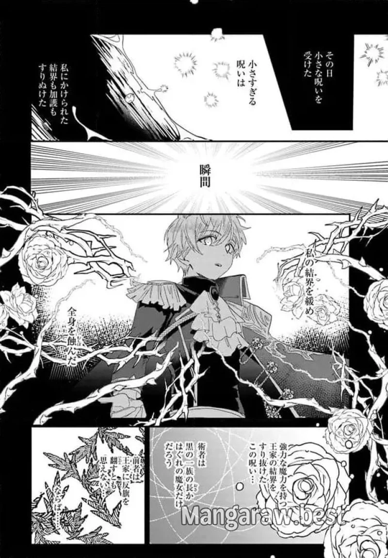 三人のライル令嬢のうち“ハズレ令嬢”に転生したようです。～前世は病弱でしたが、癒しの魔法で今度は私が助けます！～ 第5.2話 - 2