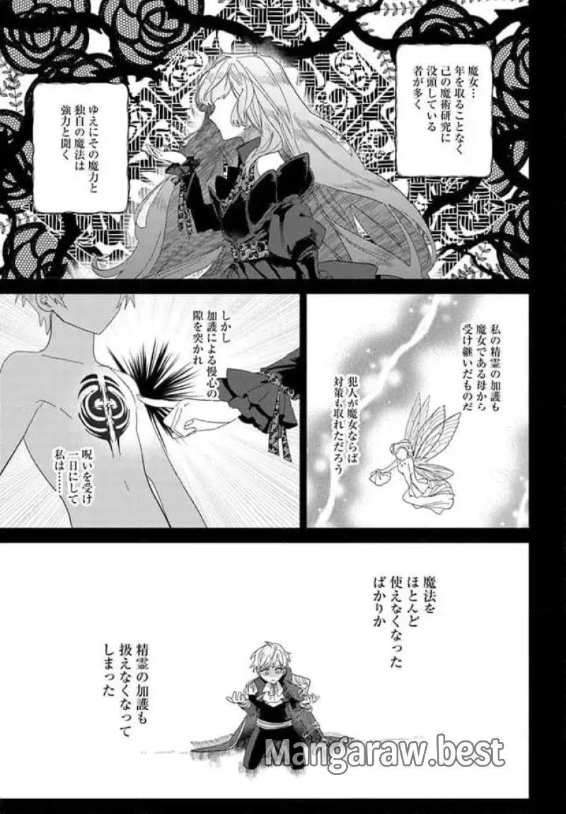 三人のライル令嬢のうち“ハズレ令嬢”に転生したようです。～前世は病弱でしたが、癒しの魔法で今度は私が助けます！～ 第5.2話 - 3