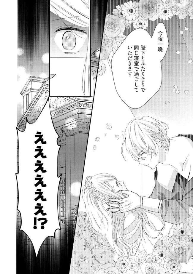 身代わり婚約者なのに、銀狼陛下がどうしても離してくれません！ 第1.4話 - 8