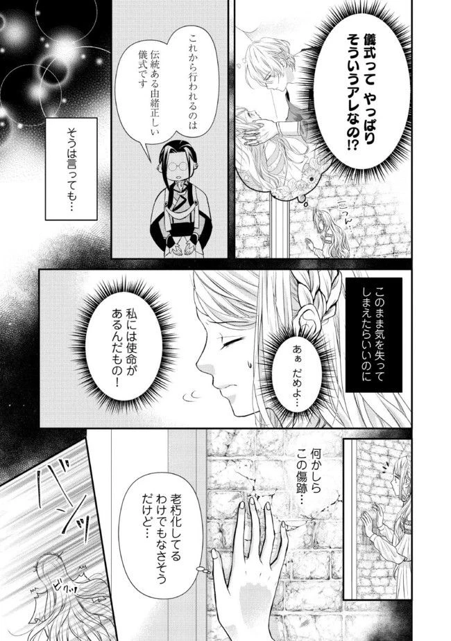 身代わり婚約者なのに、銀狼陛下がどうしても離してくれません！ 第2.1話 - 3