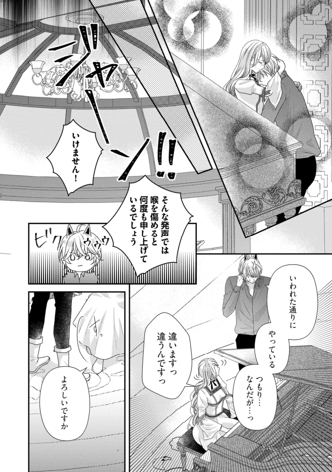 身代わり婚約者なのに、銀狼陛下がどうしても離してくれません！ 第20.3話 - 1