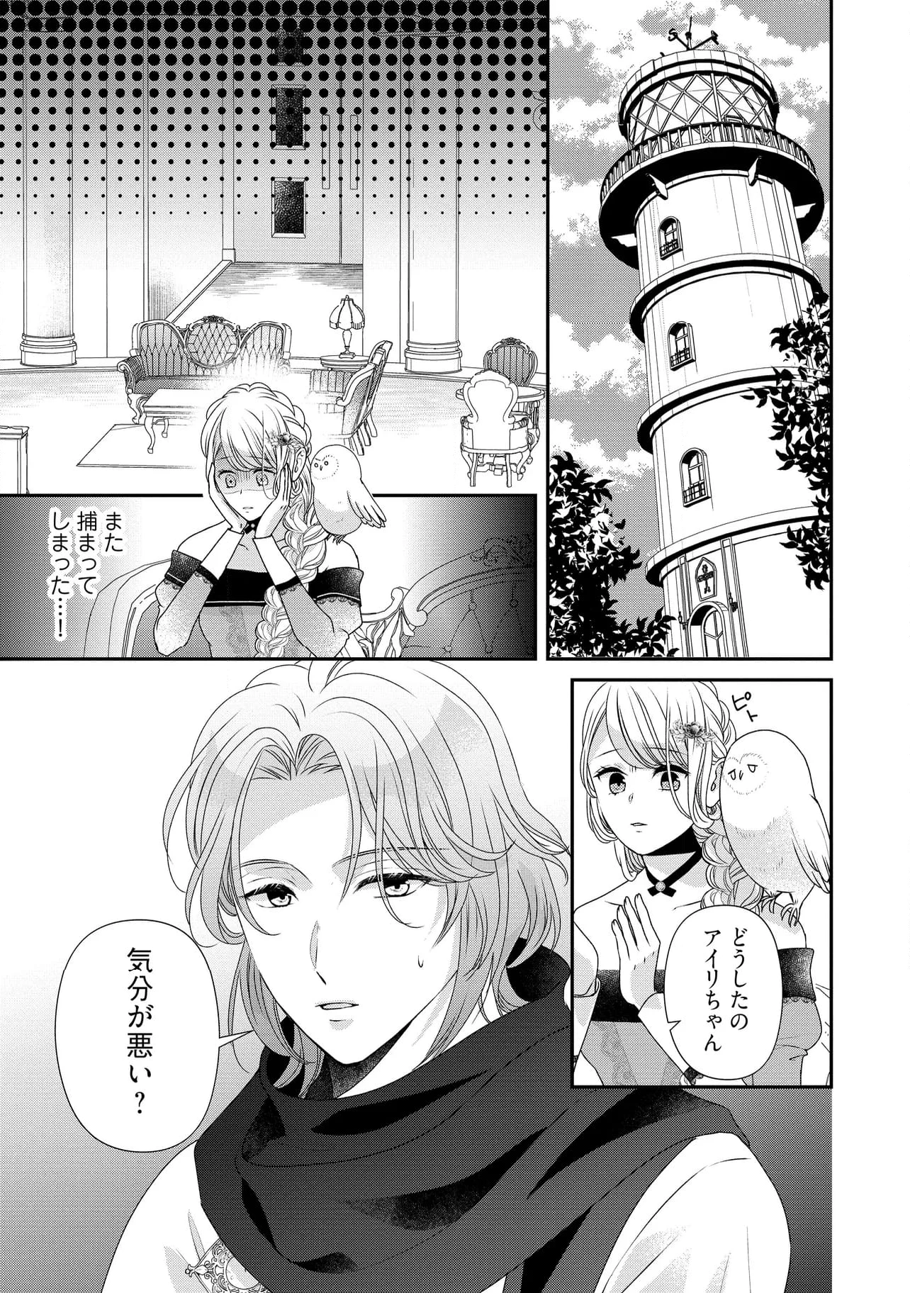 身代わり婚約者なのに、銀狼陛下がどうしても離してくれません！ 第22.1話 - 1
