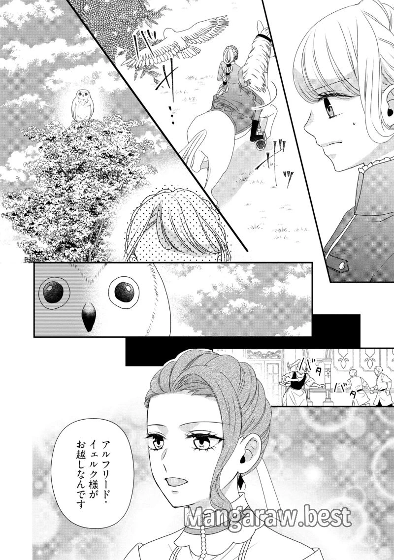 身代わり婚約者なのに、銀狼陛下がどうしても離してくれません！ 第25.3話 - 1