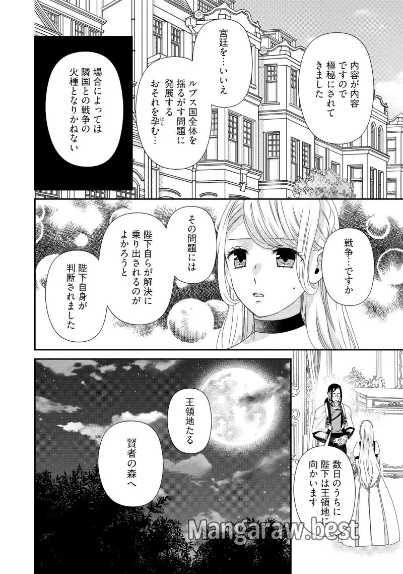 身代わり婚約者なのに、銀狼陛下がどうしても離してくれません！ 第25.3話 - 7