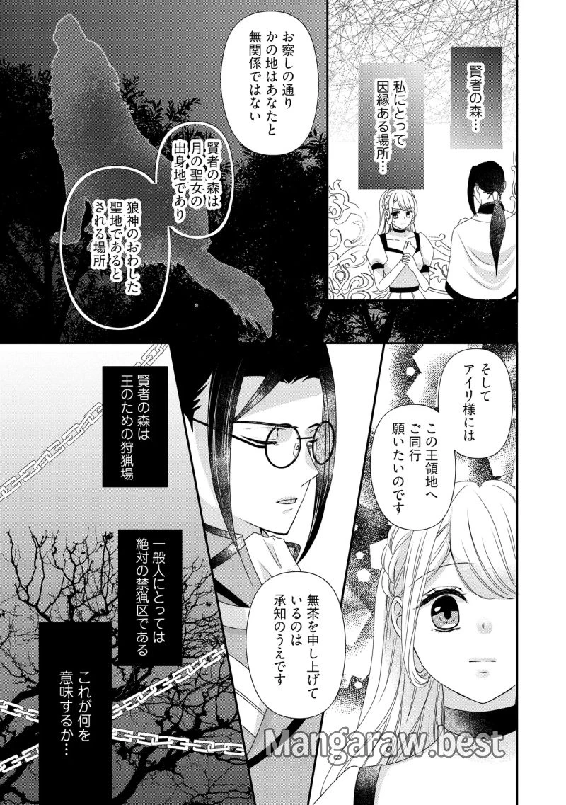 身代わり婚約者なのに、銀狼陛下がどうしても離してくれません！ 第25.4話 - 1