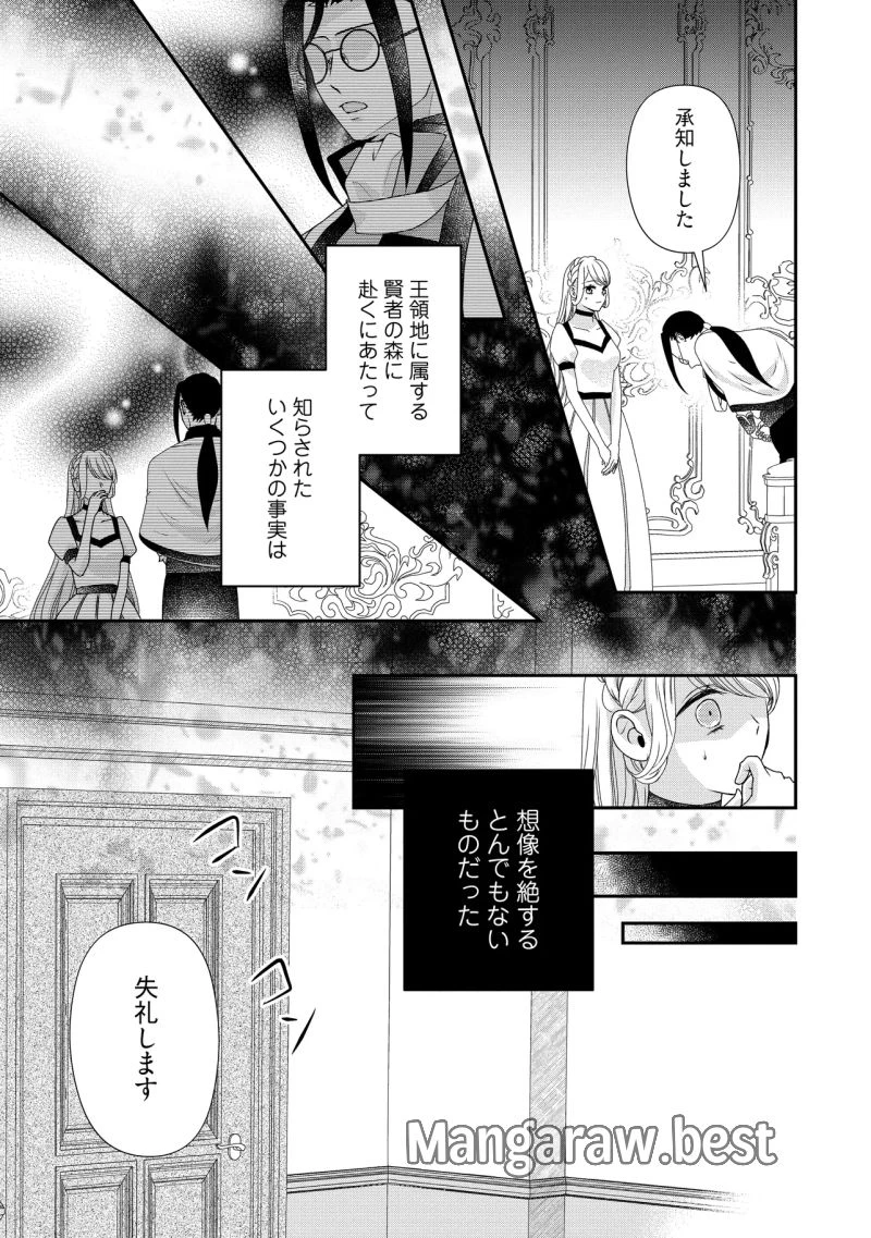 身代わり婚約者なのに、銀狼陛下がどうしても離してくれません！ 第25.4話 - 5