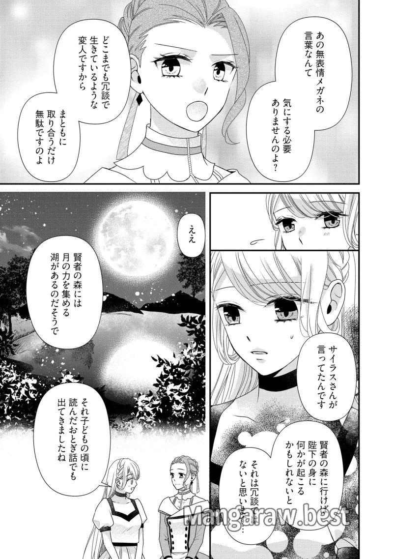 身代わり婚約者なのに、銀狼陛下がどうしても離してくれません！ 第26.3話 - 5