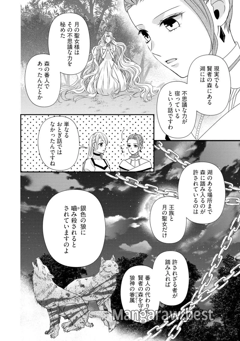 身代わり婚約者なのに、銀狼陛下がどうしても離してくれません！ 第26.3話 - 6