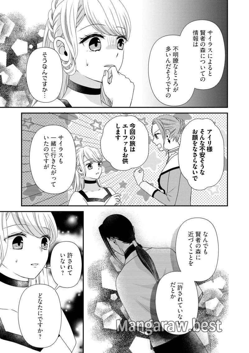 身代わり婚約者なのに、銀狼陛下がどうしても離してくれません！ 第26.3話 - 7