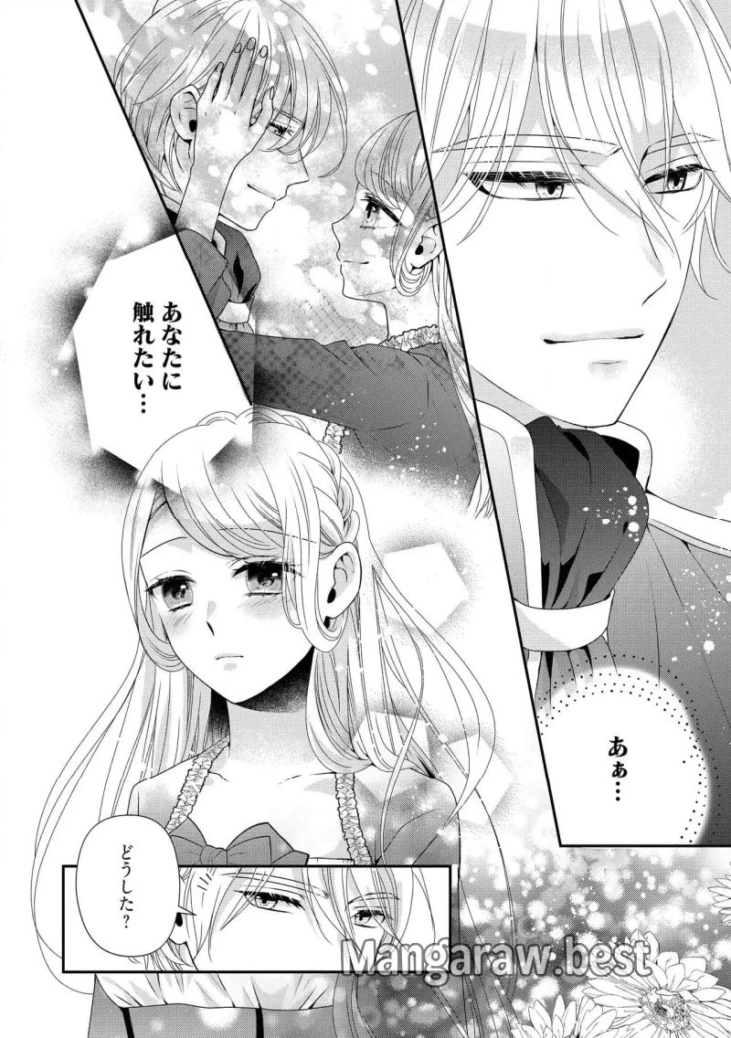 身代わり婚約者なのに、銀狼陛下がどうしても離してくれません！ 第27.1話 - 6