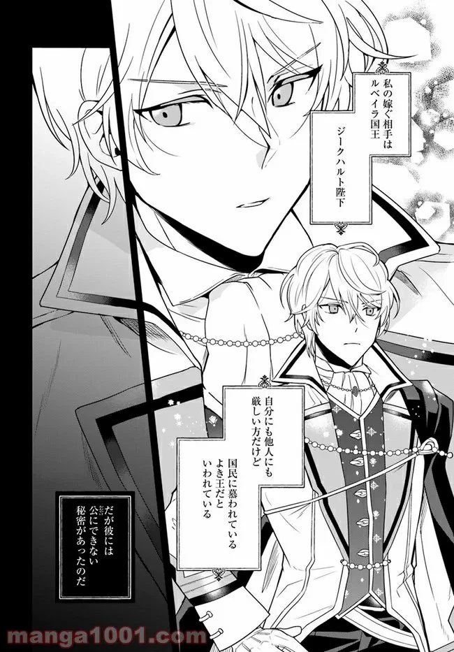 お飾り王妃になったので、こっそり働きに出ることにしました ～うさぎがいるので独り寝も寂しくありません！～ 第1.1話 - 11