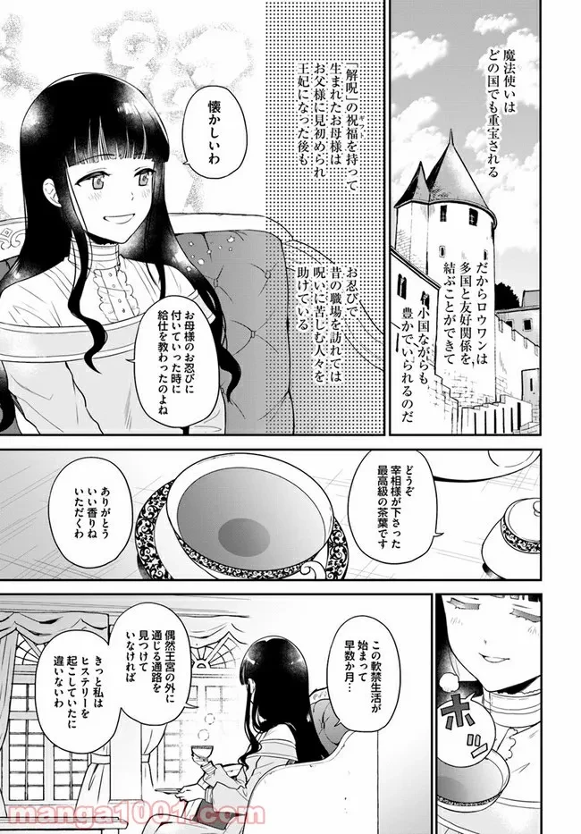 お飾り王妃になったので、こっそり働きに出ることにしました ～うさぎがいるので独り寝も寂しくありません！～ 第1.1話 - 23