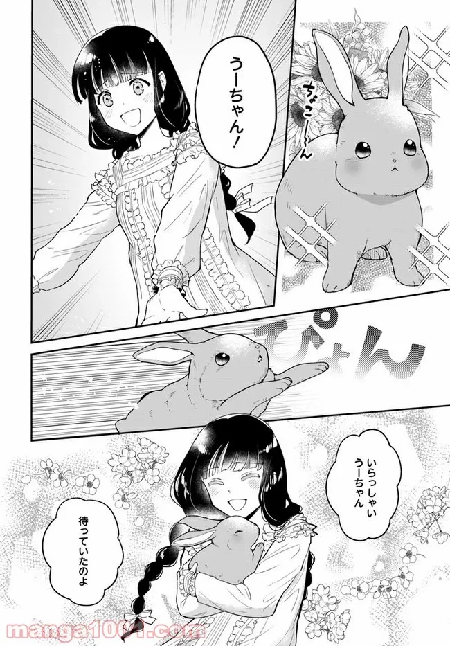 お飾り王妃になったので、こっそり働きに出ることにしました ～うさぎがいるので独り寝も寂しくありません！～ 第1.1話 - 28