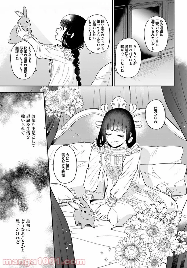 お飾り王妃になったので、こっそり働きに出ることにしました ～うさぎがいるので独り寝も寂しくありません！～ 第1.1話 - 31