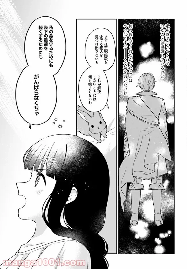 お飾り王妃になったので、こっそり働きに出ることにしました ～うさぎがいるので独り寝も寂しくありません！～ 第6.1話 - 9