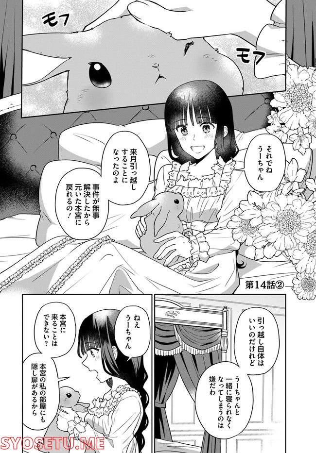 お飾り王妃になったので、こっそり働きに出ることにしました ～うさぎがいるので独り寝も寂しくありません！～ 第14.2話 - 1
