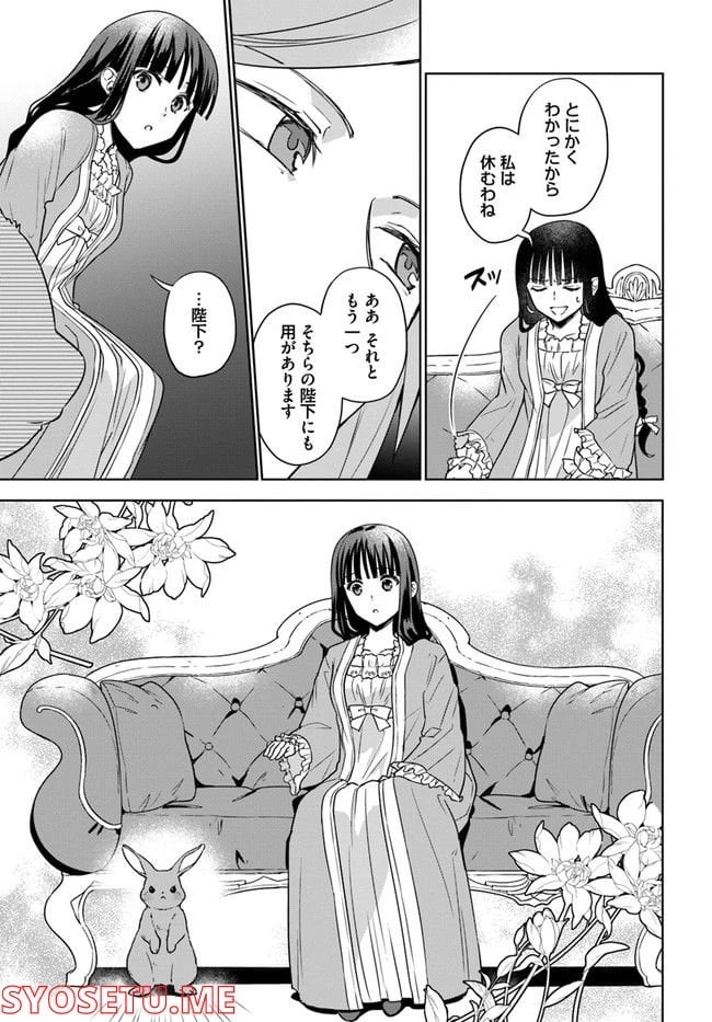 お飾り王妃になったので、こっそり働きに出ることにしました ～うさぎがいるので独り寝も寂しくありません！～ 第14.2話 - 6