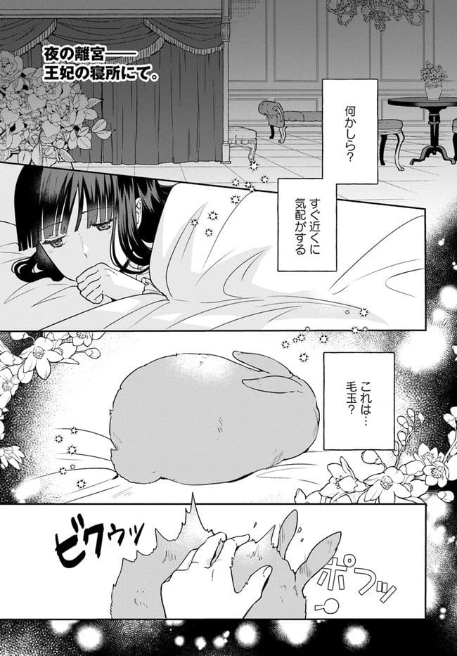 お飾り王妃になったので、こっそり働きに出ることにしました ～うさぎがいるので独り寝も寂しくありません！～ 第15.1話 - 1
